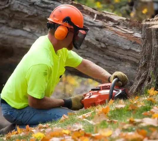 tree services Tekonsha